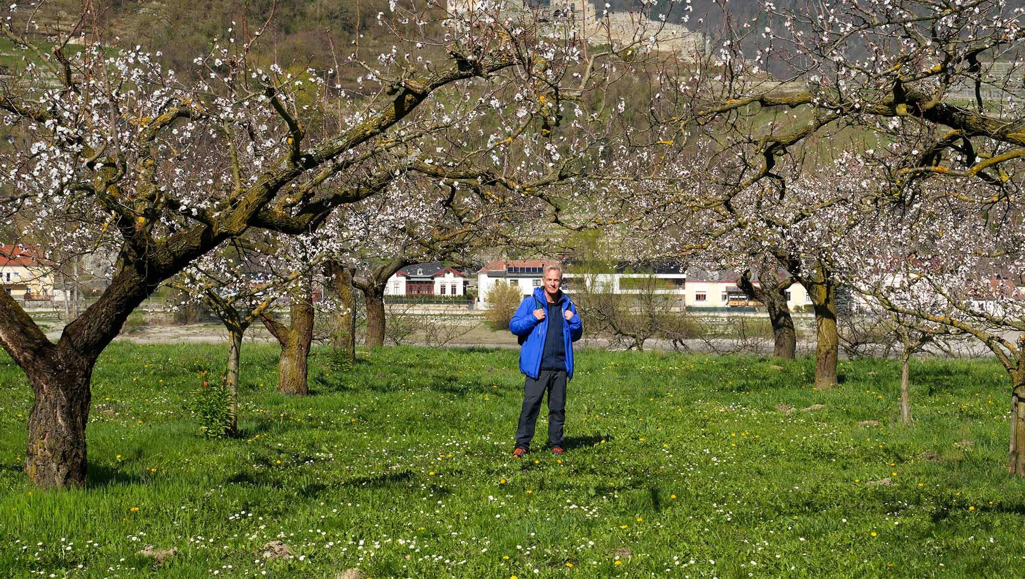 09754309-84b4-4c50-96d0-9dee73810745