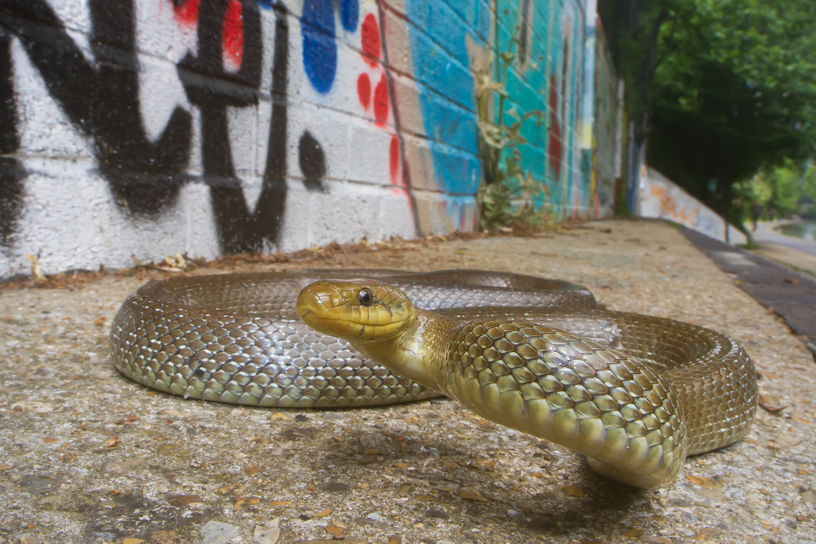 12f580b2-20d8-49c2-a9ec-dcaa3134f75f