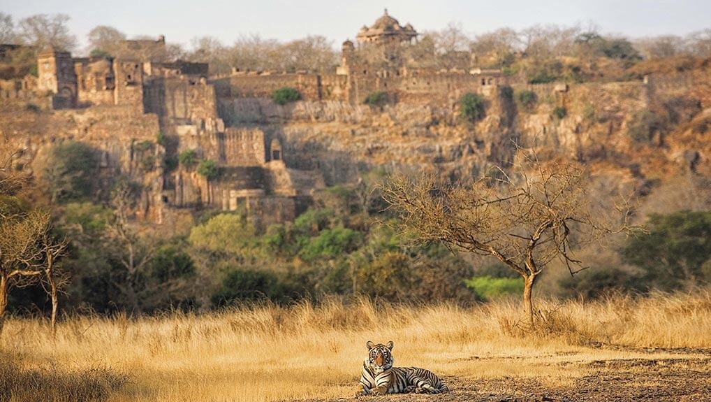 386497db-fae3-4a37-9b94-391e3837d23f