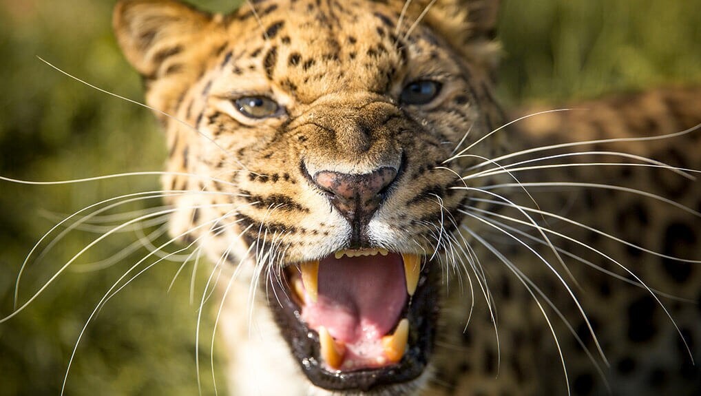 39cd6dd3-2ac7-42d3-b4fb-b911bcb8aa5b