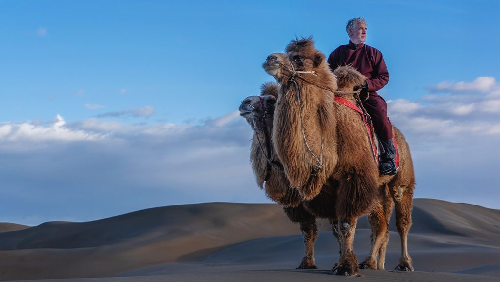 Gordon Buchanan: My Epic Camel Adventure