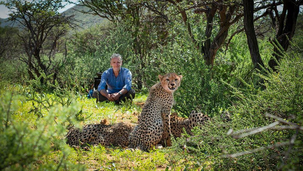 Cheetah Family and Me