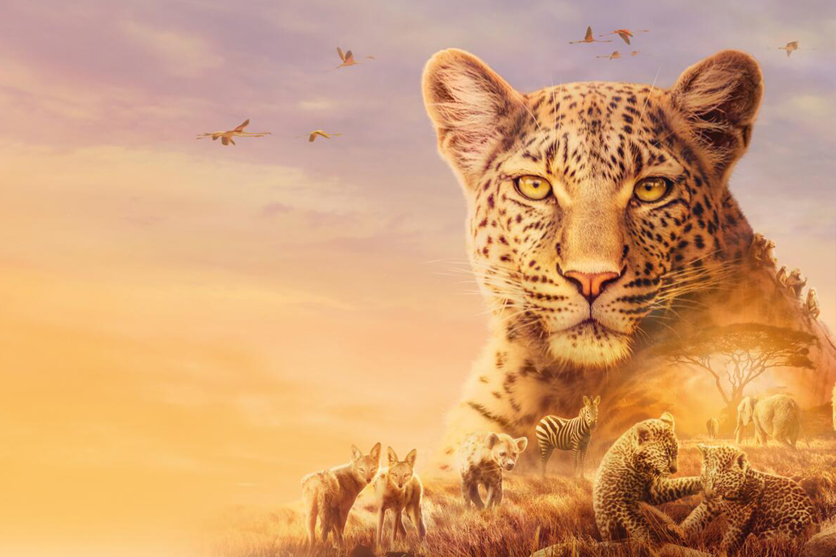 Serengeti II