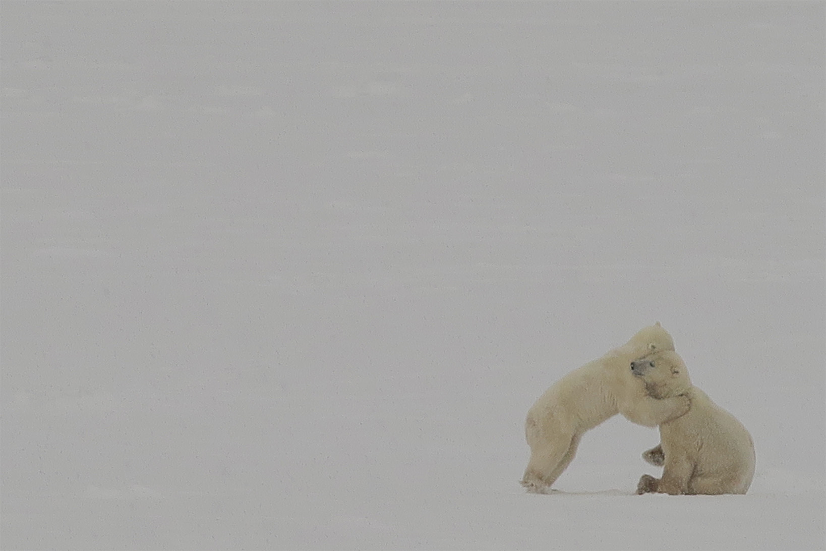 5fe0634c-902d-4204-b4a2-a4e275a28ff3