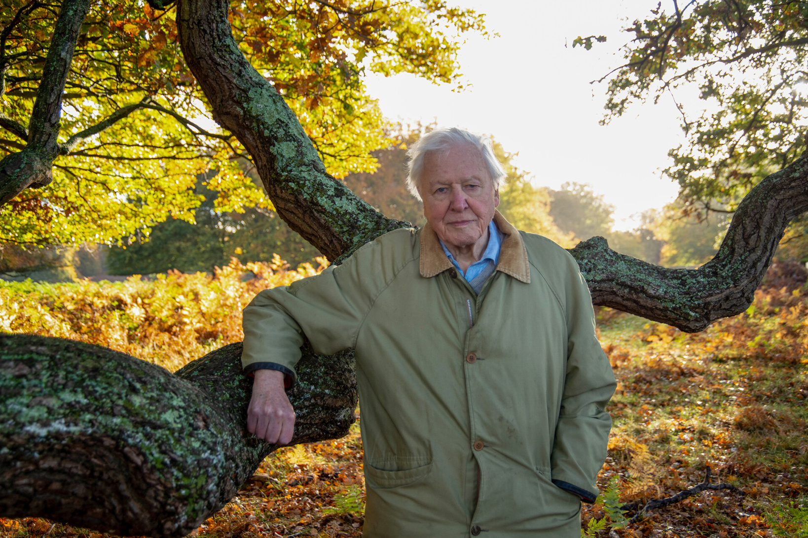 6286d46c-5ad8-4383-bb13-895680e169be