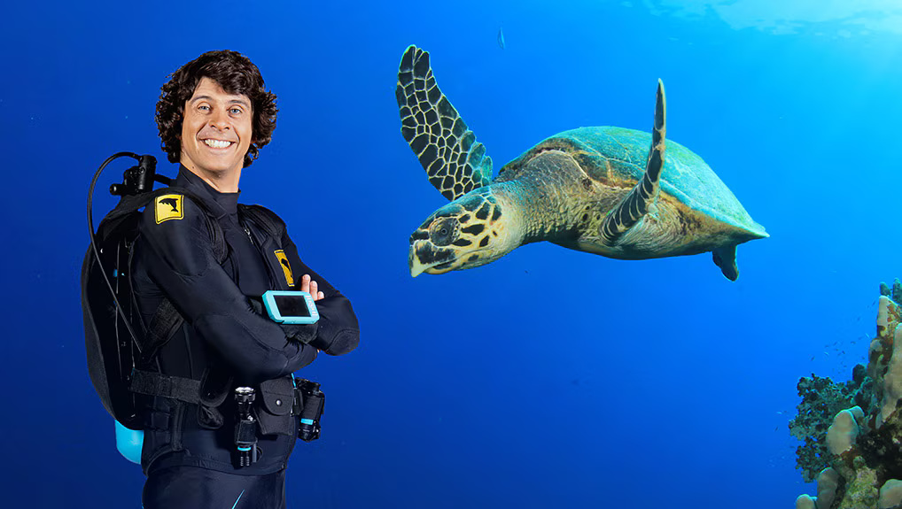 Wszystkie przygody Andy’ego