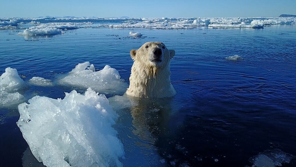 746a01dc-3a1b-4dda-ae96-2e4da34575f9