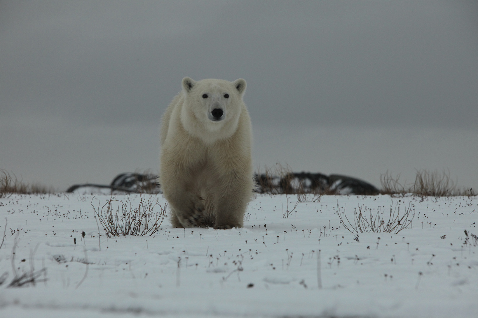 7a259a6b-5f4e-4f45-a622-8d981cd41b7d