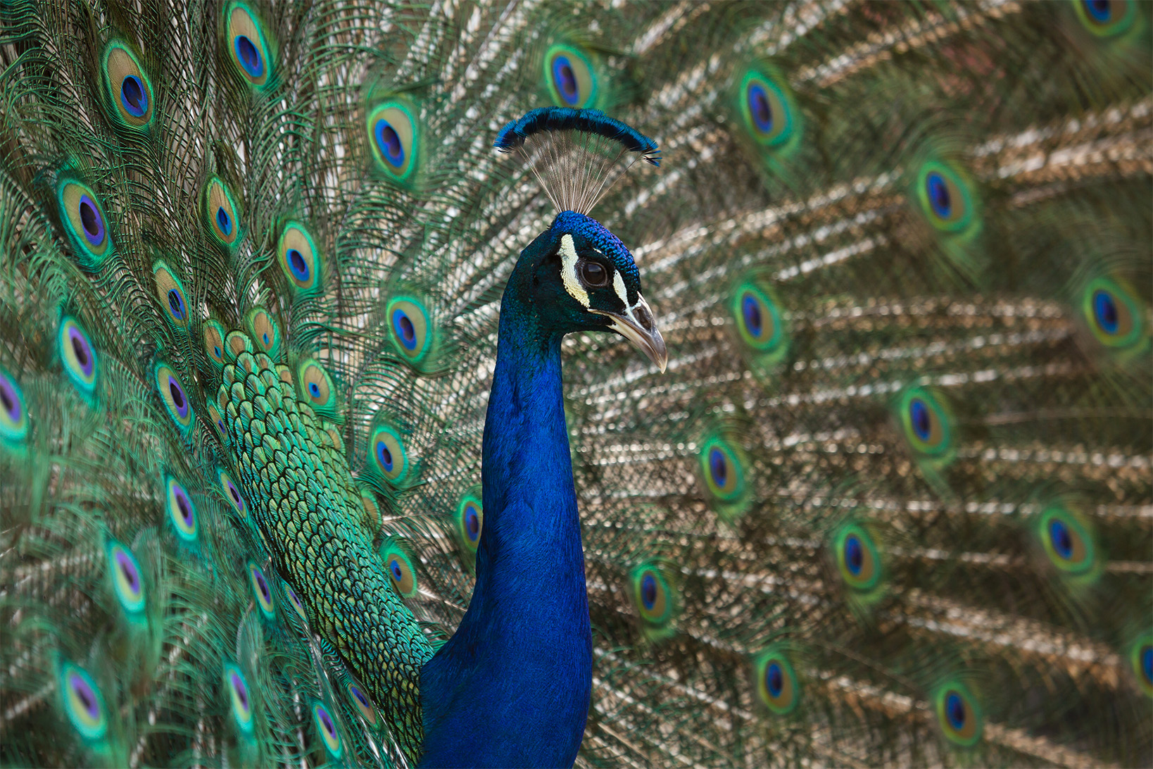 83de431c-5c7c-4caf-8fc8-87b3431b1fcf