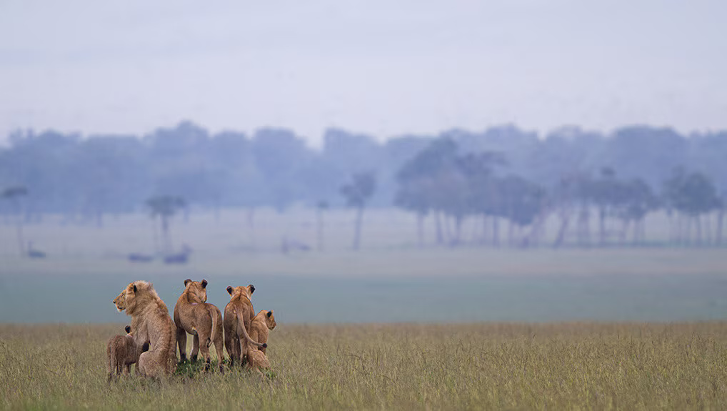 94d713da-406f-4157-b7a9-c436011c6d33