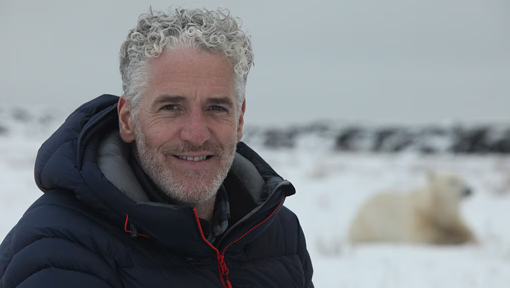 984a8c90-45fe-42bf-9bc2-509e4e604895