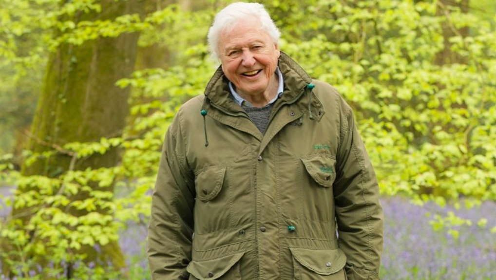 Secret World of Sound with David Attenborough