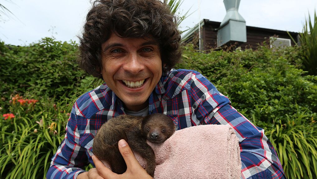 Andy's Baby Animals - S1