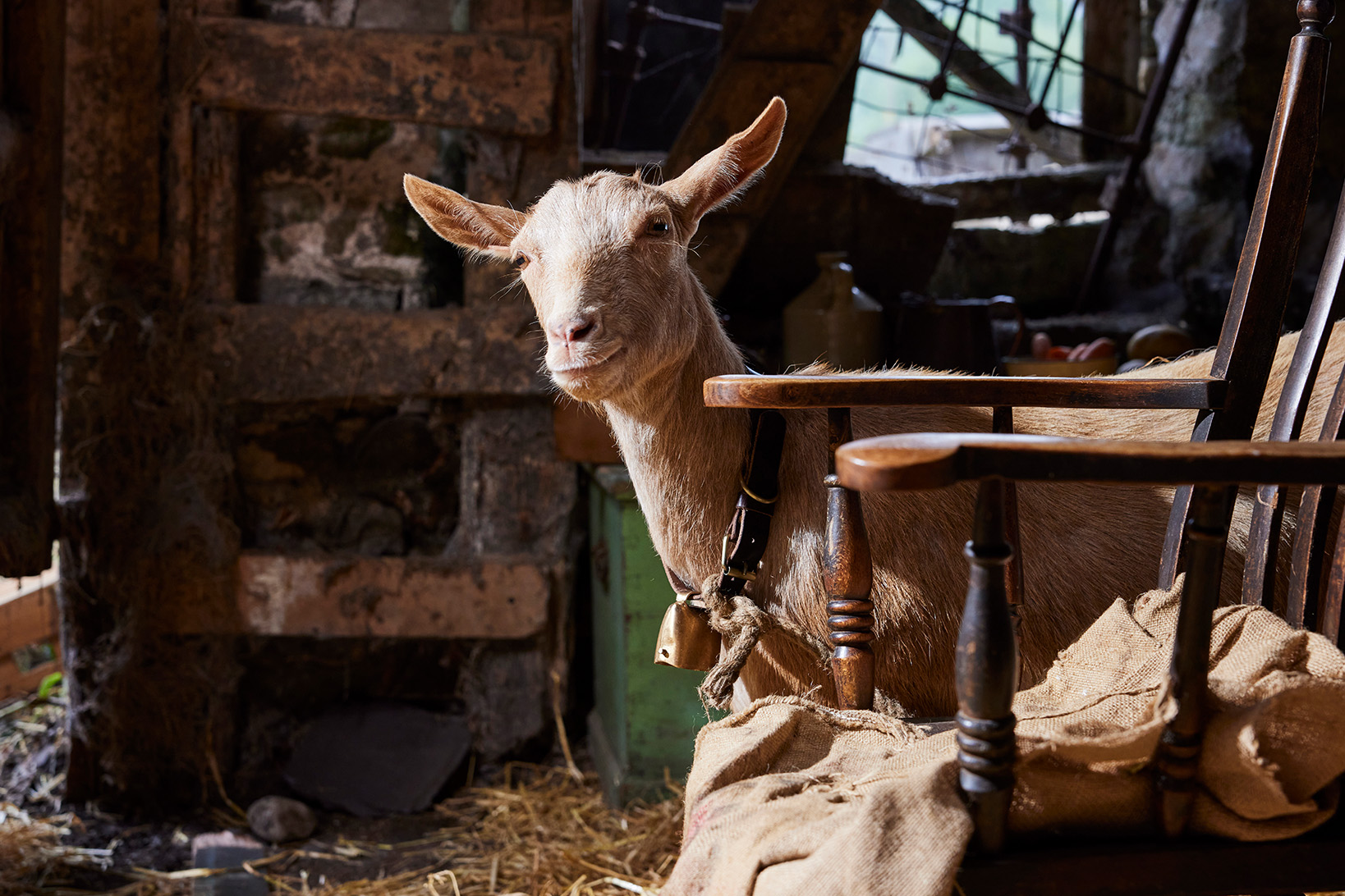 bdd7d86a-7435-4372-8fe6-dc58cb2d2678