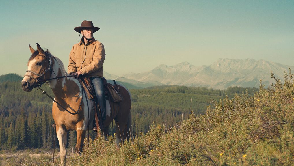 Wild Horses, the Rockies and Me