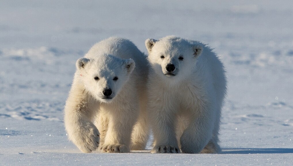 c5cbb2c7-8ef0-44be-a607-573898a1b304