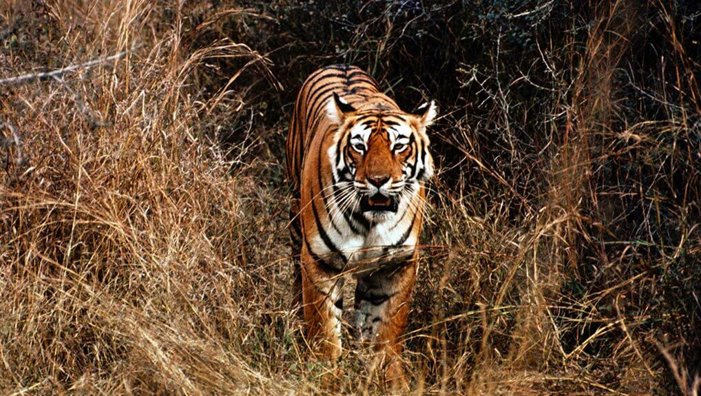 cbdb9416-4ee1-4fe2-95c9-227e74d5bbe9