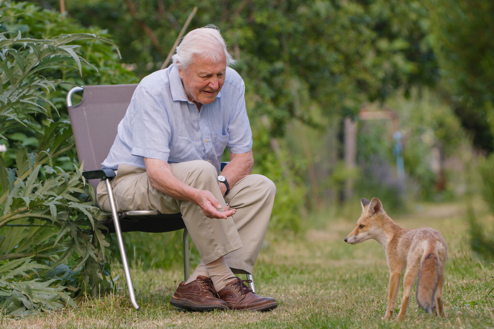 dc534335-0fe8-473c-aec6-2888fca8934a