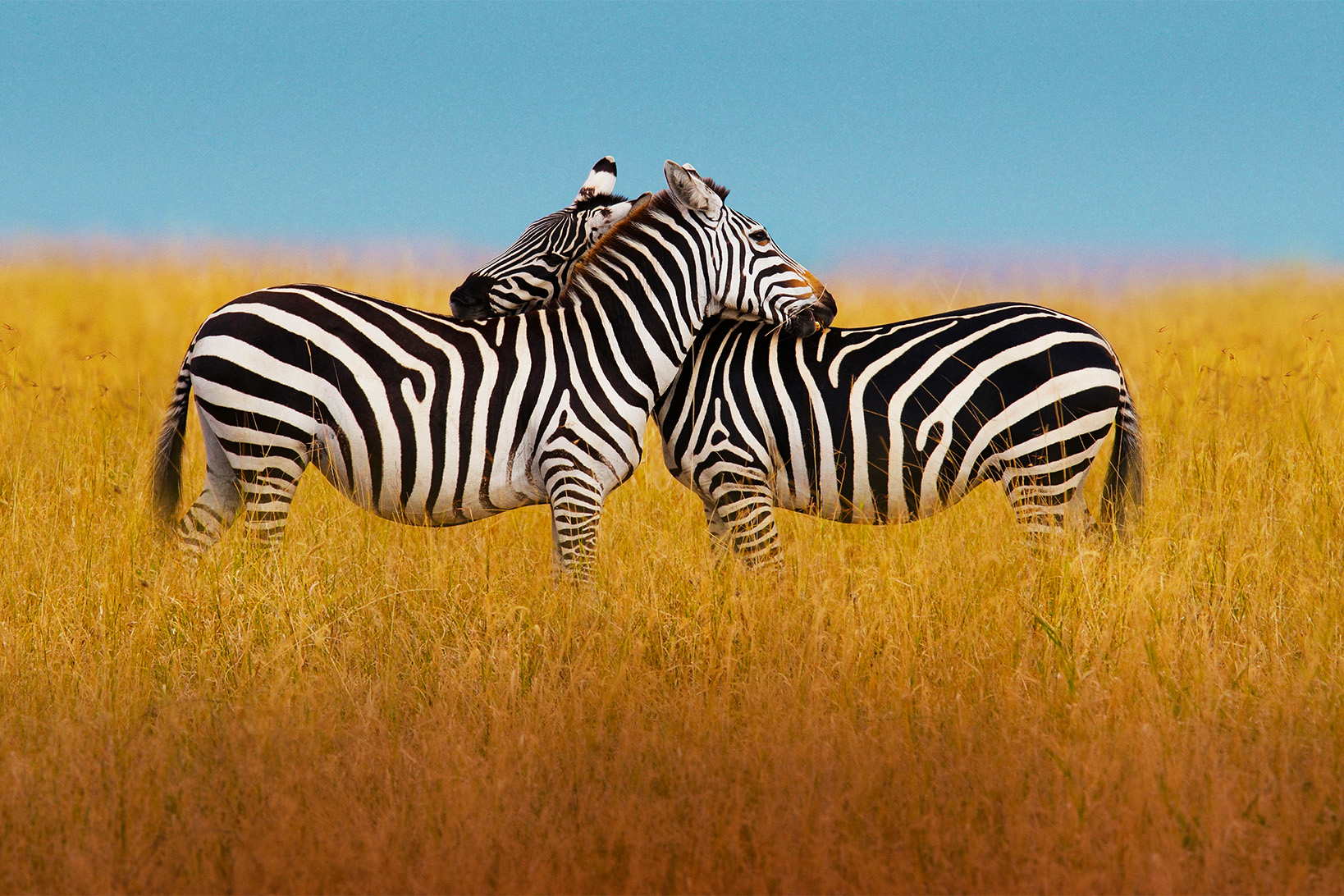 ddea580f-3713-43c9-a3f5-dc03b7d6332b