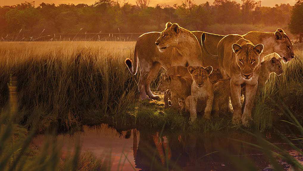 e3afa3dd-b26f-4e31-a13e-0289d7ecb0cc