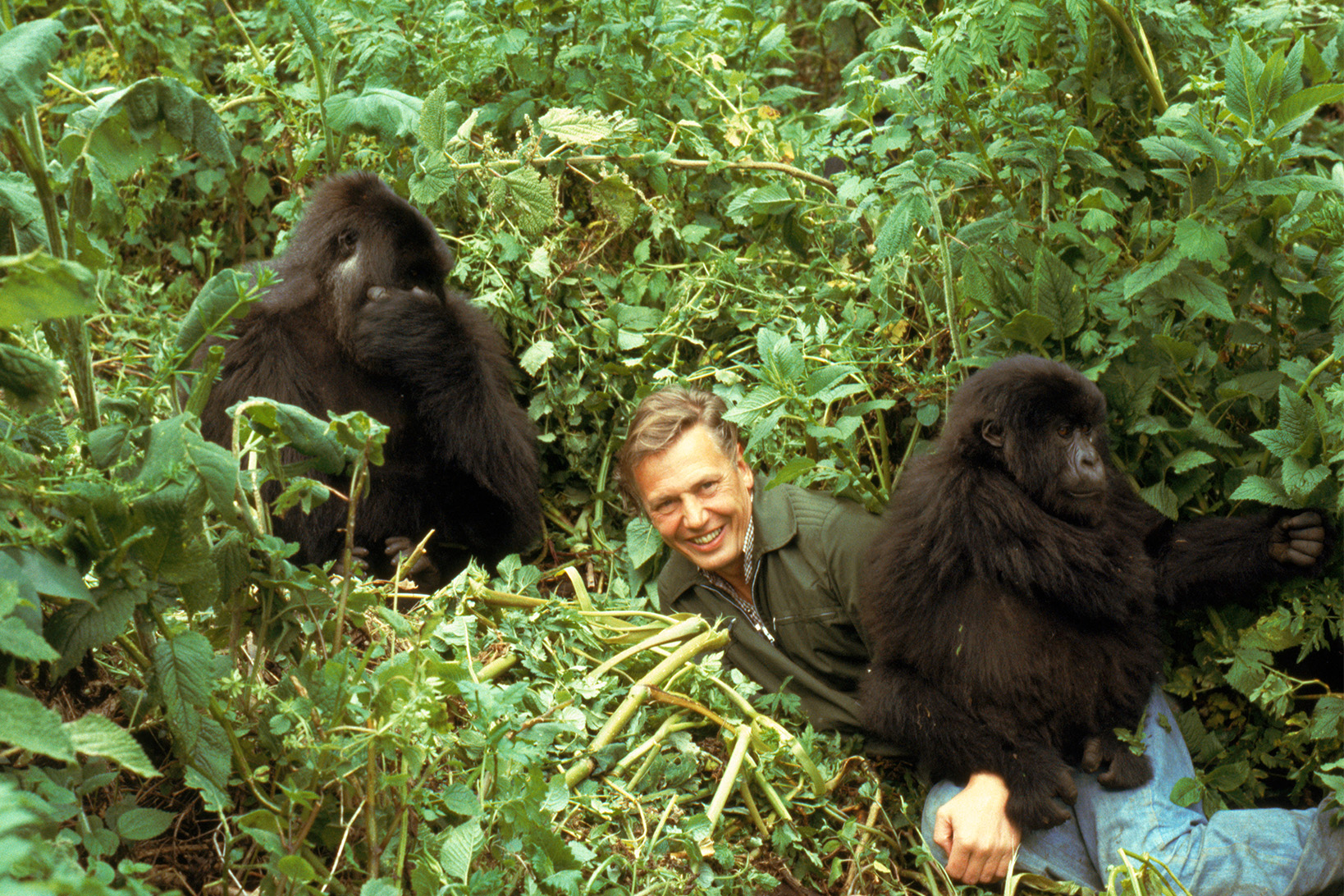 e3c4c9bc-5116-44e3-a179-6336a9aa4c30