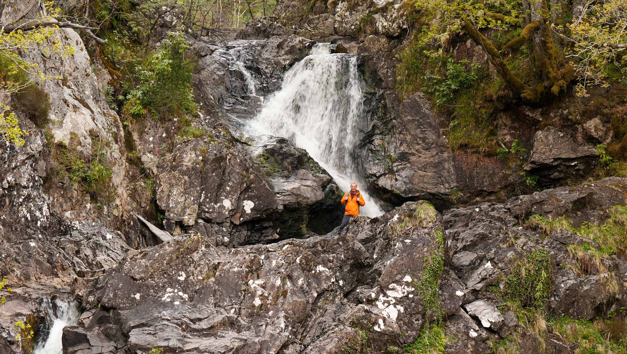 fb65c915-730e-4a9a-aa8a-68d3a422e9f5