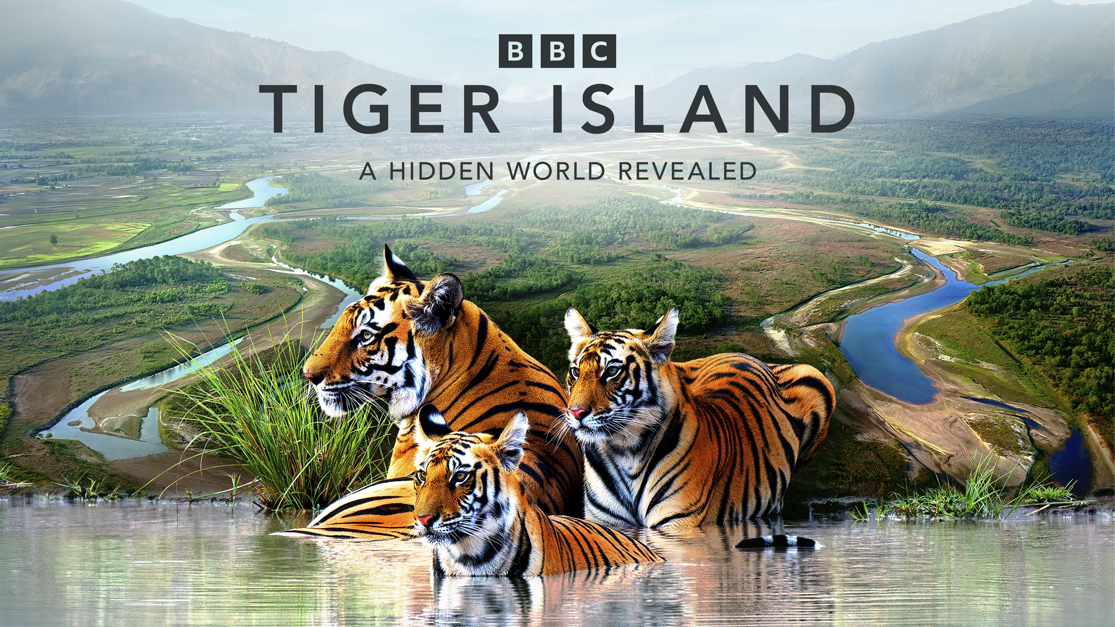 Tiger Island
