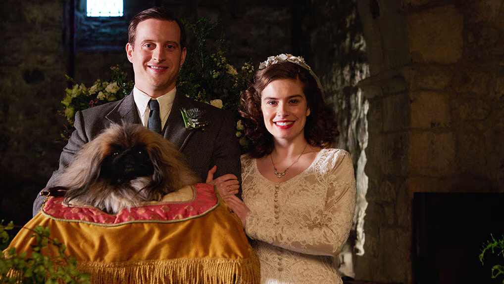 All Creatures Great and Small