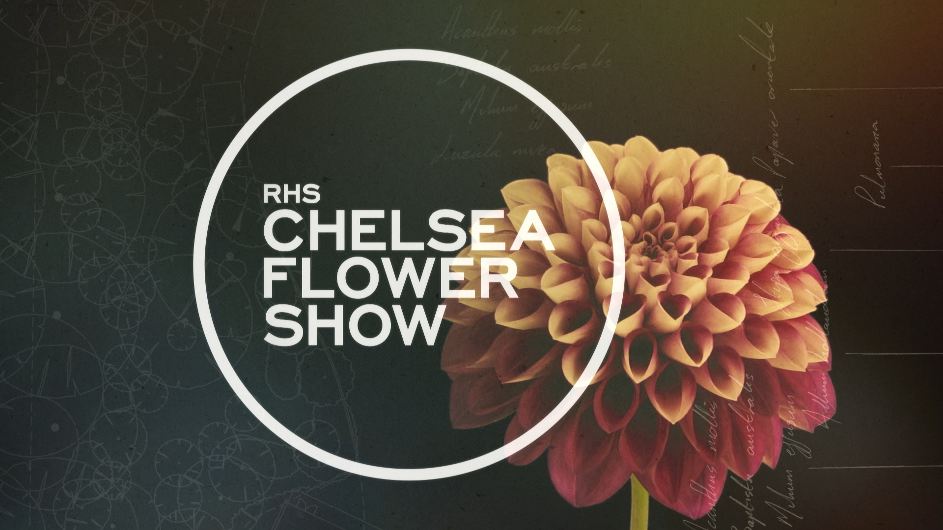 RHS Chelsea Flower Show