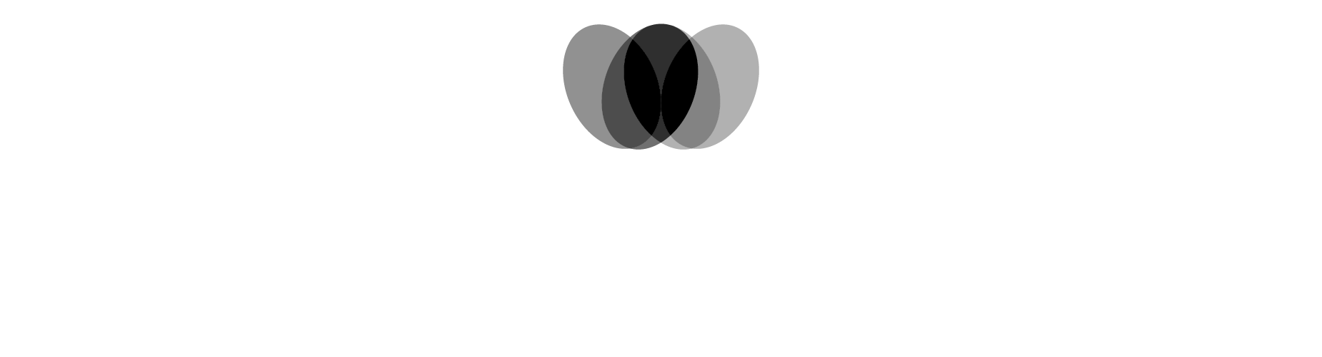 Werner Film
